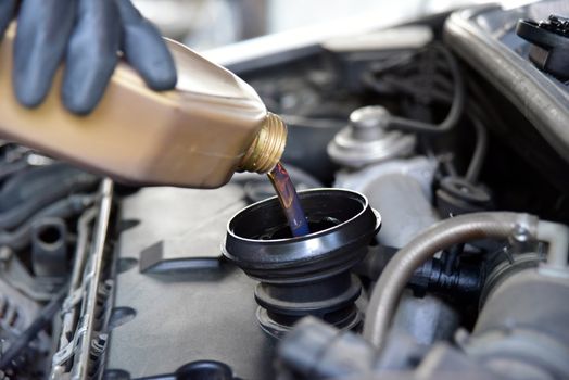 man's hand holding a bowl of motor oil and poured into the engine