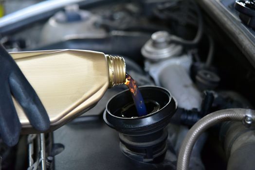 man's hand holding a bowl of motor oil and poured into the engine