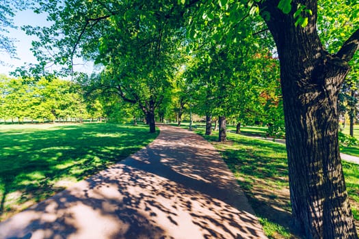 Spring view in Letna Park, Prague, Czech Republic. Spring in Prague (Praha), beautiful Letna park (Letenske sady) in sunlight, sunny landscape, popular tourist destination, Prague, Czech Republic