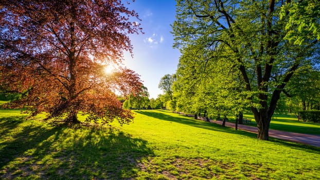 Spring view in Letna Park, Prague, Czech Republic. Spring in Prague (Praha), beautiful Letna park (Letenske sady) in sunlight, sunny landscape, popular tourist destination, Prague, Czech Republic