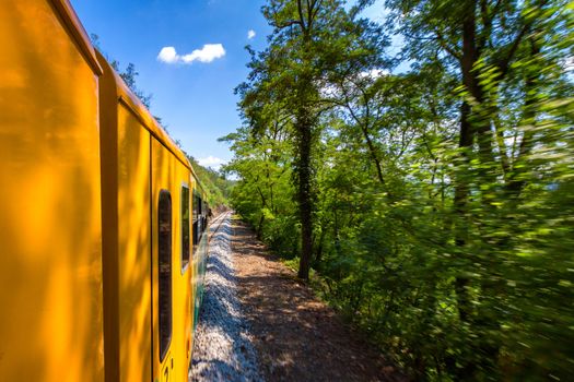 Train ride, view from a window. Old train passing green vegetation. View from the window. Traveling by train to sunset. Sunset scenery and a train gilded by sun, view from a train window. Czechia.