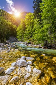 Cold mountain stream coming from Savica waterfall, river Sava near lake Bohinj, Slovenian Alps, Slovenia. The Sava Bohinjka is a headwater of the Sava River in northwestern Slovenia.