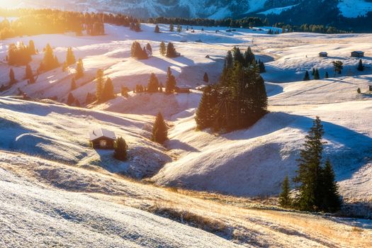 Alpe di Siusi or Seiser Alm with Sassolungo, Langkofel mountain group in background. Alpe di Siusi or Seiser Alm, Sassolungo and Sassopiatto mountains, Trentino Alto Adige, Sud Tyrol, Italy, Europe.