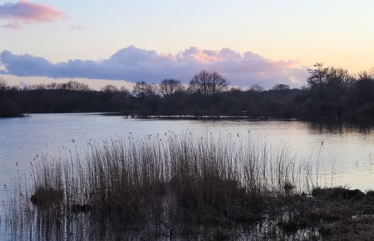 Beautiful landscape at the coast of a lake with a reflective water surface and some grass and reed