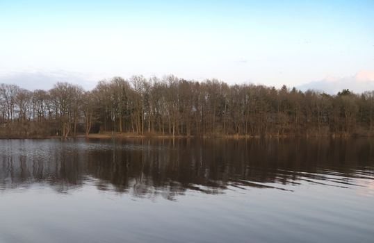 Beautiful landscape at the coast of a lake with a reflective water surface and some grass and reed