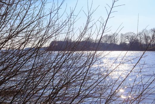 Beautiful landscape at the coast of a lake with a reflective water surface and some grass and reed