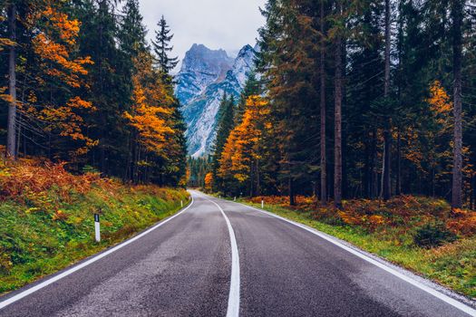 View of winding road. Asphalt roads in the Italian Alps in South Tyrol, during autumn season. Autumn scene with curved road and yellow larches from both sides in alp forest. Dolomite Alps. Italy