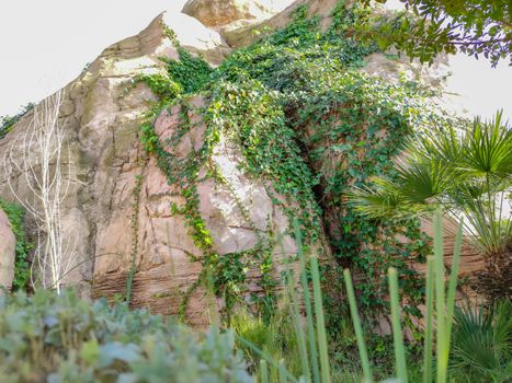 a beautiful rock with green plant inside it