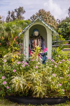 Kalapana, Hawaii, USA. - January 14, 2020: Mary, Star of the Sea Catholic Church. Statue in niche of Mary, mother of god, in garden outside. Lots of green with red and pink flowers. White cloudscape.