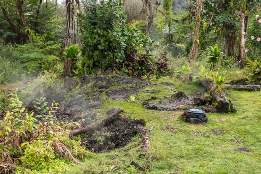 Leilani Estate, Hawaii, USA. - January 14, 2020: Devastation in parts untouched by 2018 lava. Poisonous gases and vapors escape ground of abandoned house. Green grass and brown trees.