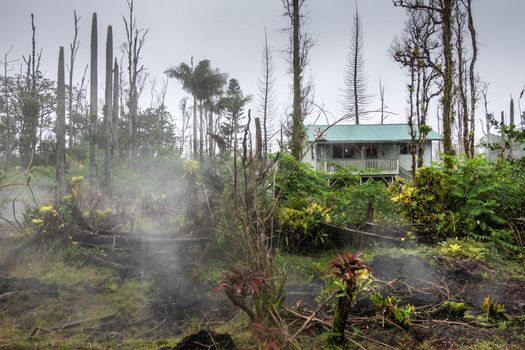 Leilani Estate, Hawaii, USA. - January 14, 2020: Devastation in parts untouched by 2018 lava. Poisonous gases and vapors escape ground of forest and abandoned house. Green plants and dead trees.