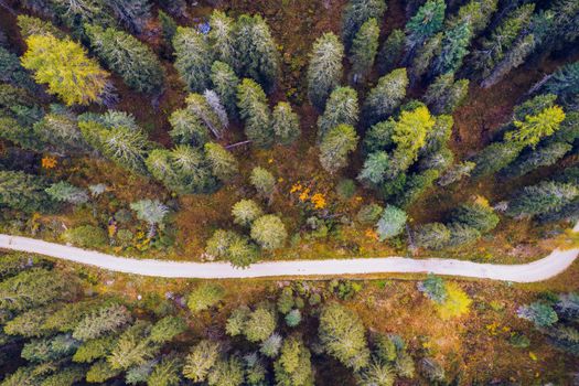Scenic aerial view of a winding trekking path in a forest. Trekking path in the forest from above, drone view. Aerial top view of a trail in the middle of a forest. Aerial view of footpath in forest.