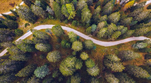 Scenic aerial view of a winding trekking path in a forest. Trekking path in the forest from above, drone view. Aerial top view of a trail in the middle of a forest. Aerial view of footpath in forest.