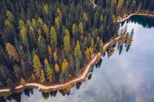 Scenic aerial view of a winding trekking path in a forest. Trekking path in the forest from above, drone view. Aerial top view of a trail in the middle of a forest. Aerial view of footpath in forest.