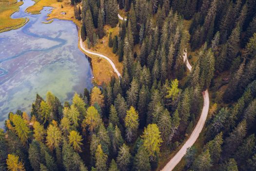 Scenic aerial view of a winding trekking path in a forest. Trekking path in the forest from above, drone view. Aerial top view of a trail in the middle of a forest. Aerial view of footpath in forest.