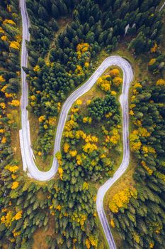 Curved bending road in the forest. Aerial image of a road. Forrest pattern. Scenic curvy road seen from a drone in autumn. Aerial top down view of zig zag winding mountain road, drone shot.