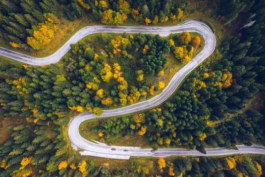 Curved bending road in the forest. Aerial image of a road. Forrest pattern. Scenic curvy road seen from a drone in autumn. Aerial top down view of zig zag winding mountain road, drone shot.