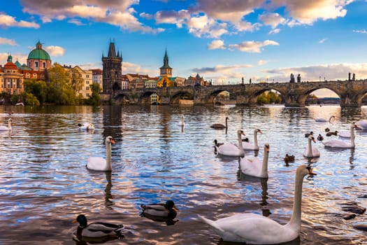 Autumn view to Charles bridge on Vltava river in Prague, Czech Republic. Autumn view to Charles Bridge, Prague old town and Vltava river. Czechia. Scenic autumn view of the Old Town with red foliage.