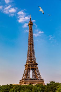 Paris Eiffel Tower and river Seine at sunset in Paris, France. Eiffel Tower is one of the most iconic landmarks of Paris. Eiffel tower in summer, Paris, France. The Eiffel Tower in Paris, France.