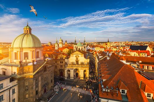 Aerial panorama view with flying birds of the Old Town in Prague, Czech Republic. Red roof tiles panorama of Prague old town.  Prague Old Town Square houses with traditional red roofs. Czechia.