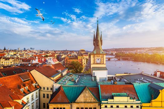 Aerial panorama view with flying birds of the Old Town in Prague, Czech Republic. Red roof tiles panorama of Prague old town.  Prague Old Town Square houses with traditional red roofs. Czechia.