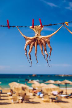 Octopus drying in the sun, Crete, Greece, Europe. Octopus drying in Crete, Greece. An octopus drying on a rope outside a tavern in Crete, Greece. Octopus is a very popular dish in Greece. 