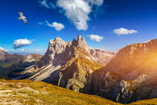 View on Seceda with birds flying over the peaks. Trentino Alto Adige, Dolomites Alps, South Tyrol, Italy. Val Gardena. Majestic Furchetta peak. Odles group seen from Seceda, Val Gardena.
