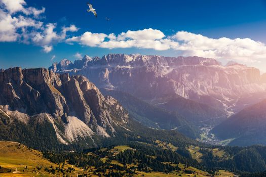 View on Seceda with birds flying over the peaks. Trentino Alto Adige, Dolomites Alps, South Tyrol, Italy. Val Gardena. Majestic Furchetta peak. Odles group seen from Seceda, Val Gardena.