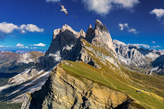 View on Seceda with birds flying over the peaks. Trentino Alto Adige, Dolomites Alps, South Tyrol, Italy. Val Gardena. Majestic Furchetta peak. Odles group seen from Seceda, Val Gardena.