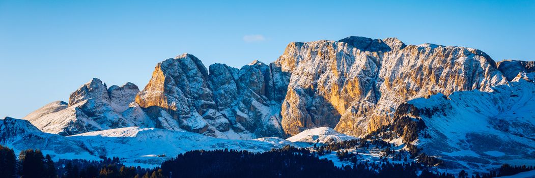 Alpe di Siusi or Seiser Alm with Sassolungo, Langkofel mountain group in background. Alpe di Siusi or Seiser Alm, Sassolungo and Sassopiatto mountains, Trentino Alto Adige, Sud Tyrol, Italy, Europe.