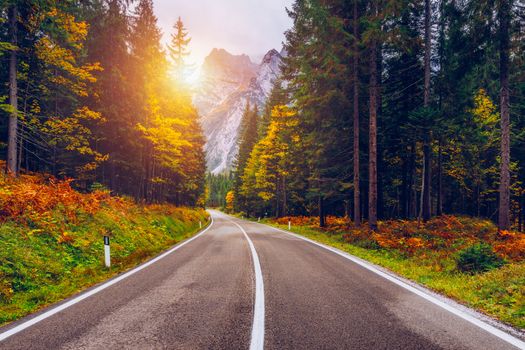 View of winding road. Asphalt roads in the Italian Alps in South Tyrol, during autumn season. Autumn scene with curved road and yellow larches from both sides in alp forest. Dolomite Alps. Italy