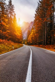 View of winding road. Asphalt roads in the Italian Alps in South Tyrol, during autumn season. Autumn scene with curved road and yellow larches from both sides in alp forest. Dolomite Alps. Italy