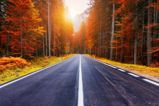 View of winding road. Asphalt roads in the Italian Alps in South Tyrol, during autumn season. Autumn scene with curved road and yellow larches from both sides in alp forest. Dolomite Alps. Italy