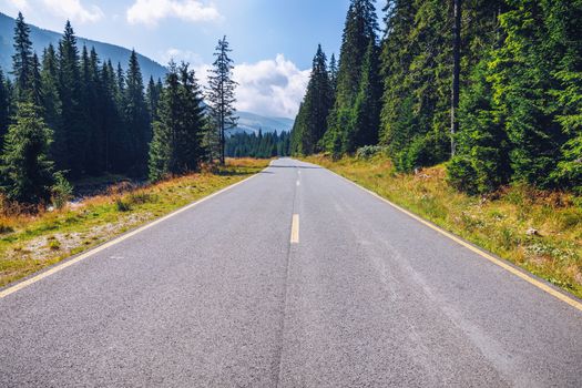 Empty asphalt road with cloudy sky and sunlight in mountains and forest. Transalpina landscape, Romania.