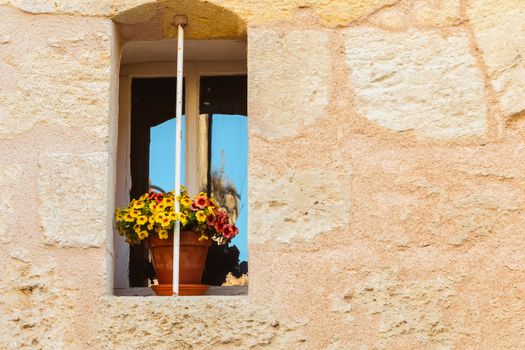 stone wall with an old window and a yellow flower pot