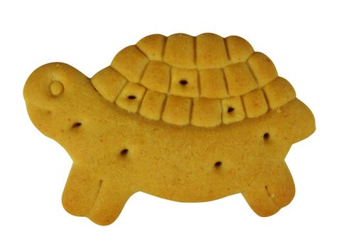 Animal shaped cookie isolated on white background. Clipping Path included.