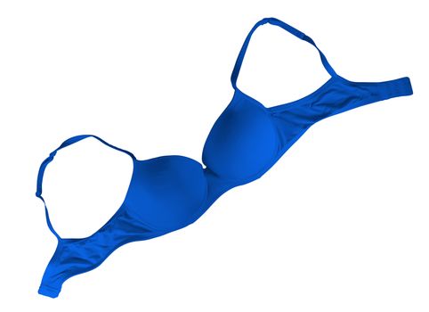 Dark blue brassiere isolated on white. Clipping Path included.