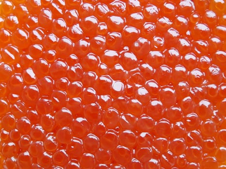 Background pattern of salmon fish red caviar close up