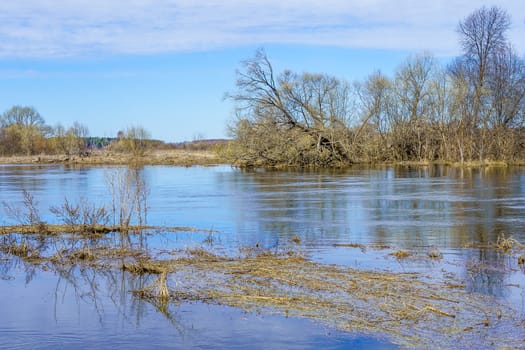 river in spring during spill on a sunny day