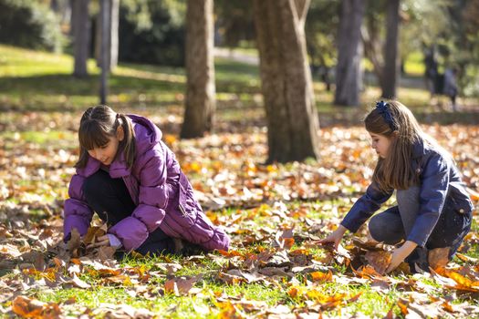 Two girlfriends in the park picking autumn leaves in the ground.