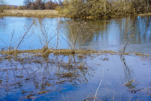 river in spring during spill on a sunny day