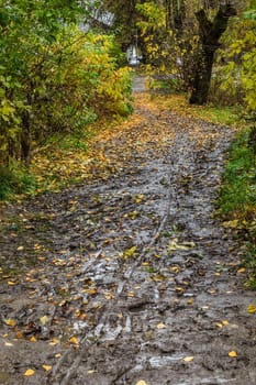 pavement in a provincial Russian city in poor condition, vertical frame