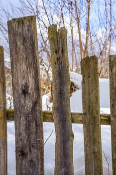 old fence around the garden of nailing boards, winter day