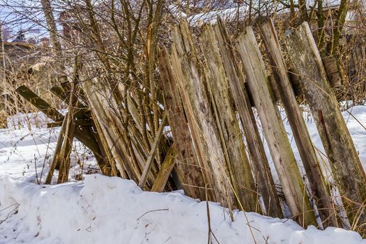 old fence around the garden of nailing boards, winter day