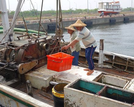 KAOHSIUNG, TAIWAN -- MAY 3, 2014: Fishermen on board a boat docked at Sinda Fishing Port unload their catch.