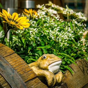 Decorative potted frog looking out of a barrel full of flowers