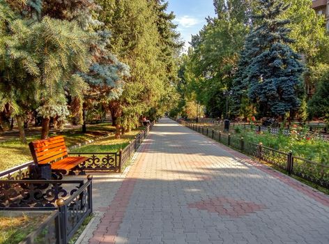 Alley in the city park in summer, Almaty, Kazakhstan