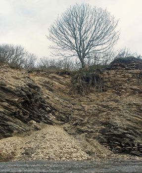 Cliffs along the South Coast of Cornwall UK.