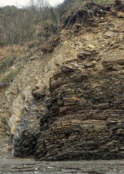 Cliffs along the South Coast of Cornwall UK.