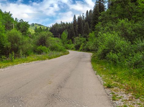 Asphalt road passing through the forest to the mountains